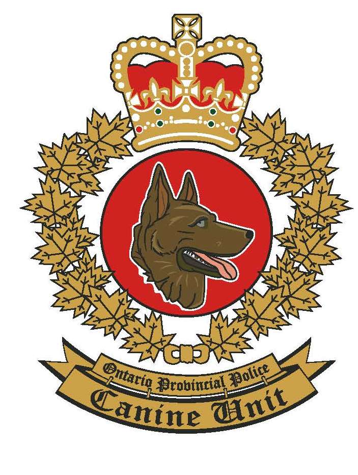 Canine crest.jpg