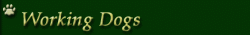 Working Dogs website